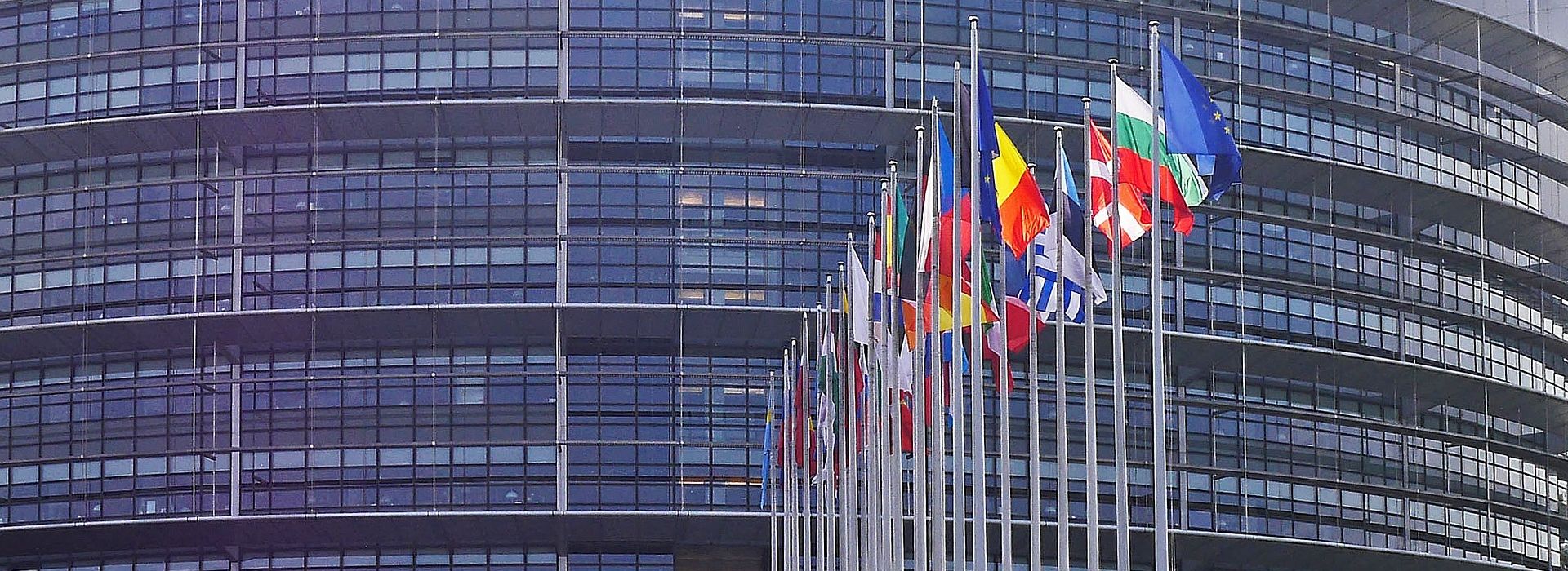 europa parliamento